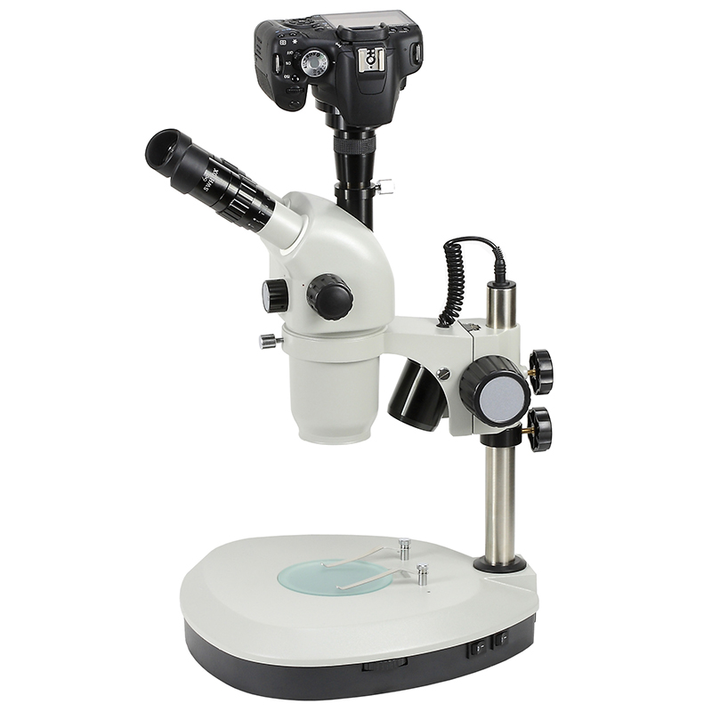 ZS0655 Series Zoom Stereo Microscope