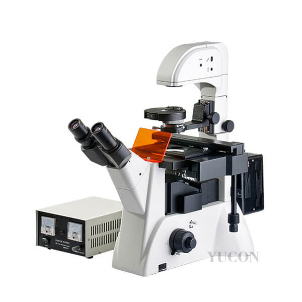 DY-2 Inverted Fluorescence Microscope