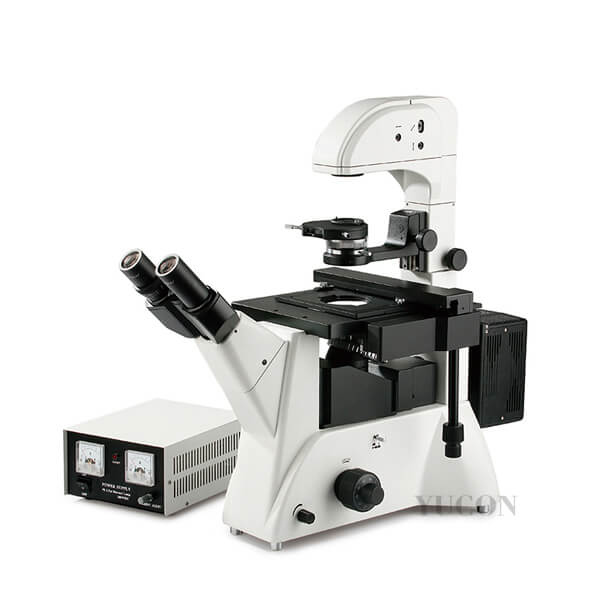 DY-2 Inverted Fluorescence Microscope