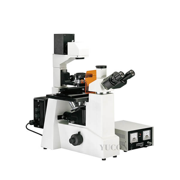 DY-1 Inverted Fluorescence Microscope