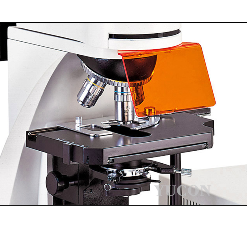 YCL3001 fluorescent microscope