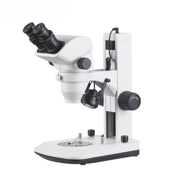 YST Fixed Series Microscope