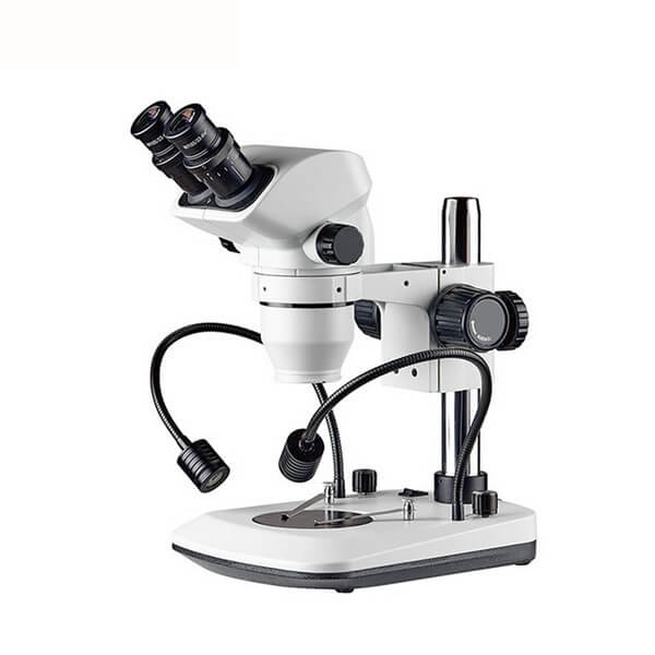 YST Fixed Series Microscope